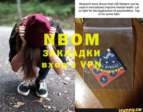 прущие грибы Кукмор