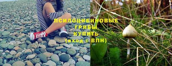 прущие грибы Кукмор