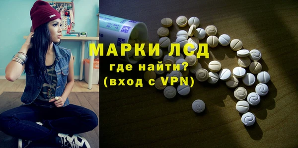 прущие грибы Кукмор