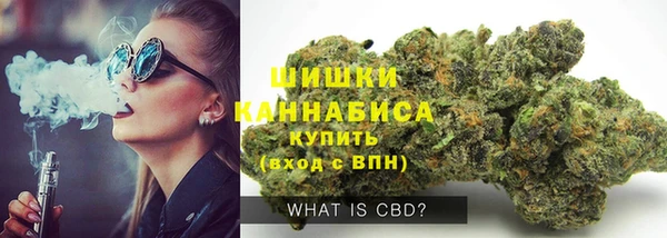 прущие грибы Кукмор