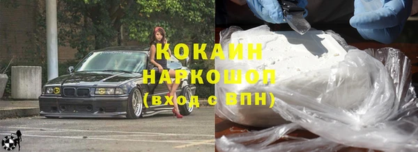 прущие грибы Кукмор